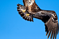 IMG_6263-Edit
