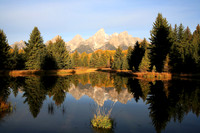 schubackerspond