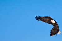 IMG_6209-Edit
